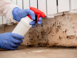 Best Environmental Consulting for Mold Prevention  in Wanaque, NJ